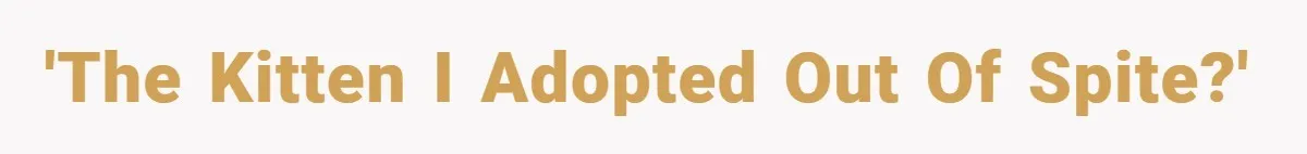 'The kitten I adopted out of spite?'