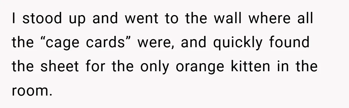 I stood up and went to the wall where all the “cage cards” were, and quickly found the sheet for the only orange kitten in the room.