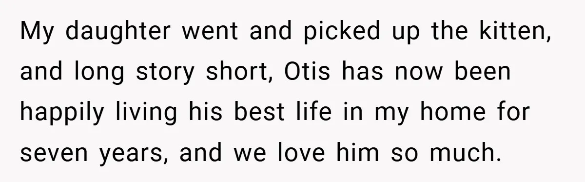 My daughter went and picked up the kitten, and long story short, Otis has now been happily living his best life in my home for seven years, and we love...