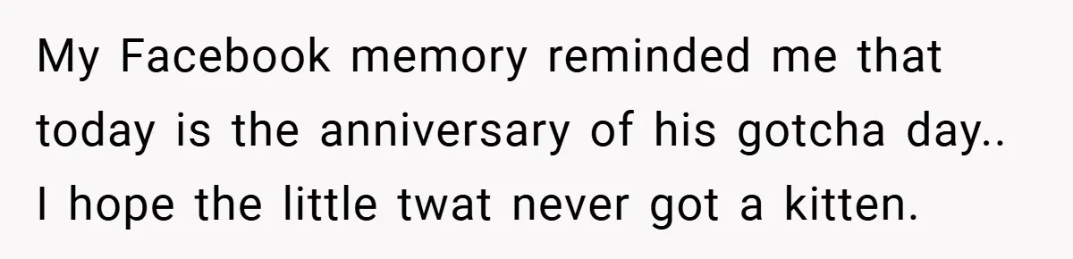 My Facebook memory reminded me that today is the anniversary of his gotcha day.. I hope the little twat never got a kitten.
