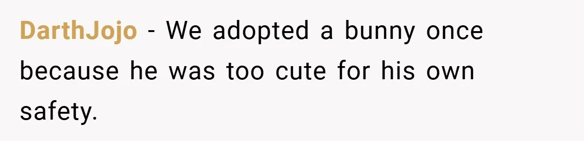 DarthJojo − We adopted a bunny once because he was too cute for his own safety.