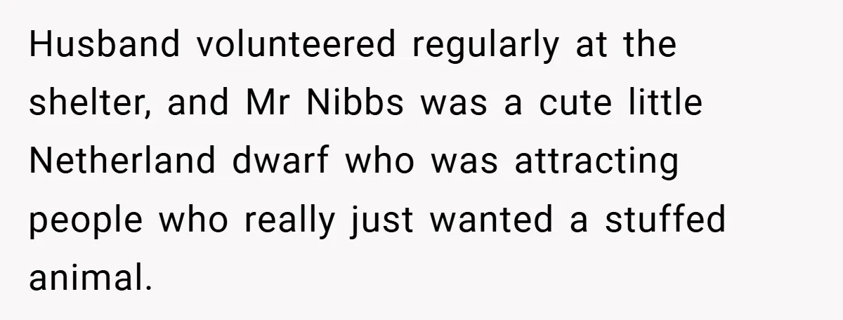 Husband volunteered regularly at the shelter, and Mr Nibbs was a cute little Netherland dwarf who was attracting people who really just wanted a stuffed animal.