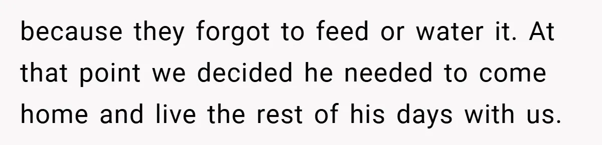because they forgot to feed or water it. At that point we decided he needed to come home and live the rest of his days with us.