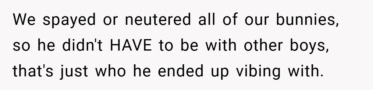 We spayed or neutered all of our bunnies, so he didn't HAVE to be with other boys, that's just who he ended up vibing with.