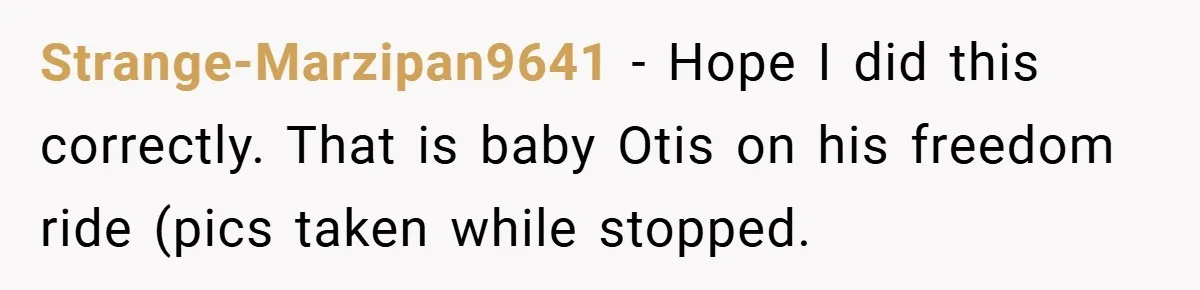 Strange-Marzipan9641 − Hope I did this correctly. That is baby Otis on his freedom ride (pics taken while stopped.