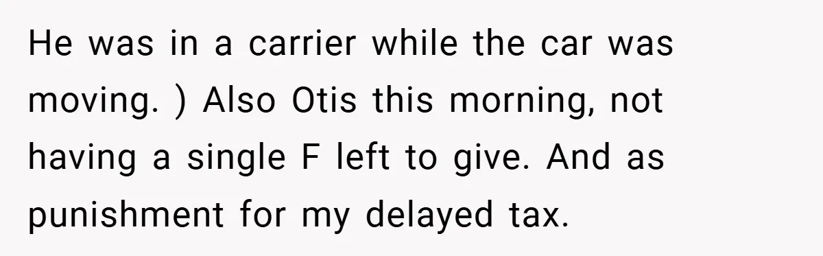 He was in a carrier while the car was moving. ) Also Otis this morning, not having a single F left to give. And as punishment for my delayed tax.
