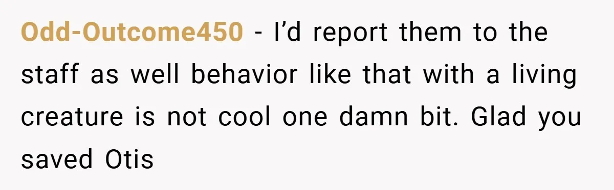 Odd-Outcome450 − I’d report them to the staff as well behavior like that with a living creature is not cool one damn bit. Glad you saved Otis