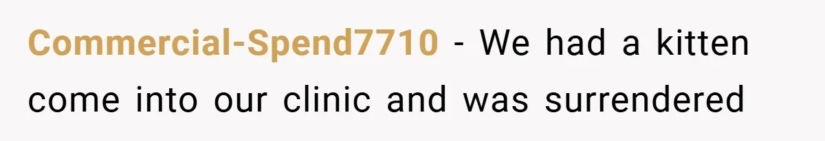 Commercial-Spend7710 − We had a kitten come into our clinic and was surrendered