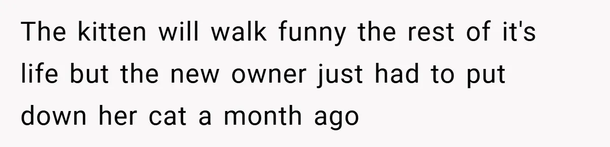 The kitten will walk funny the rest of it's life but the new owner just had to put down her cat a month ago