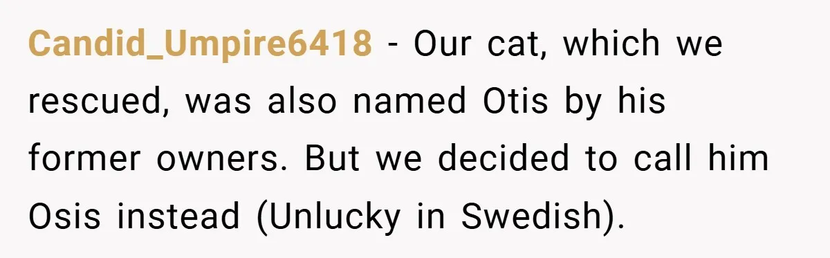 Candid_Umpire6418 − Our cat, which we rescued, was also named Otis by his former owners. But we decided to call him Osis instead (Unlucky in Swedish).