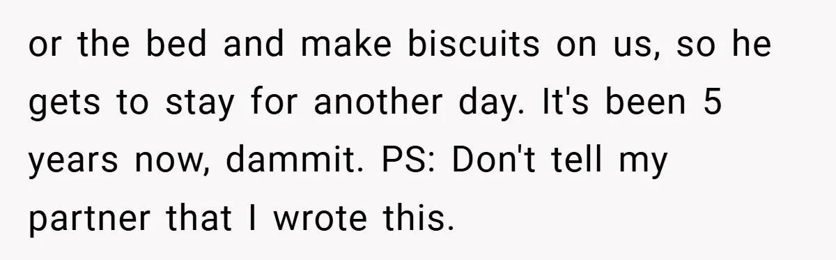 or the bed and make biscuits on us, so he gets to stay for another day. It's been 5 years now, dammit. PS: Don't tell my partner that I wrote...