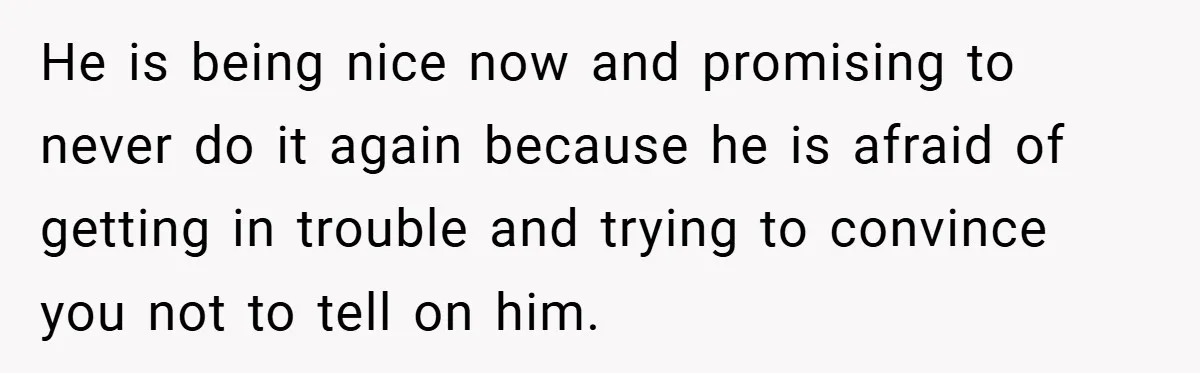 Bride-to-Be’s Trust Broken in Bathroom Confrontation — Online Community Begs Her Not to Marry Him He is being nice now and promising to never do it again because he is afraid of getting in trouble and trying to convince you not to tell on him.