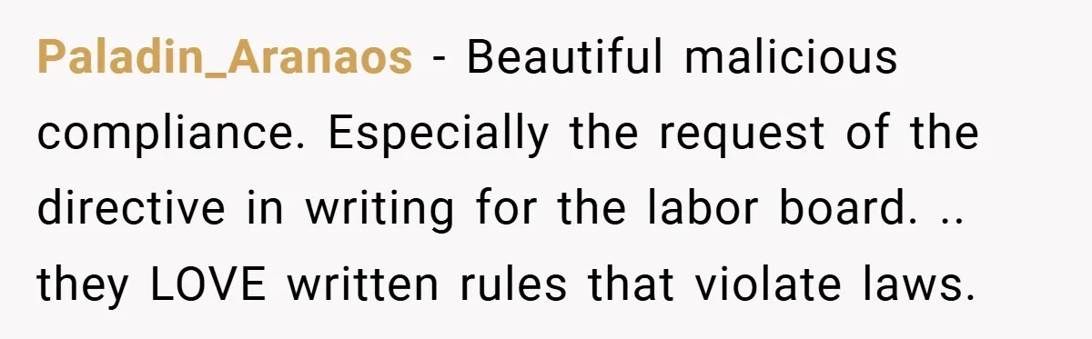 Paladin_Aranaos − Beautiful malicious compliance. Especially the request of the directive in writing for the labor board. .. they LOVE written rules that violate laws.