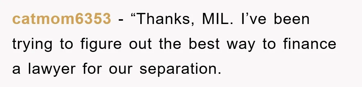 catmom6353 − “Thanks, MIL. I’ve been trying to figure out the best way to finance a lawyer for our separation.