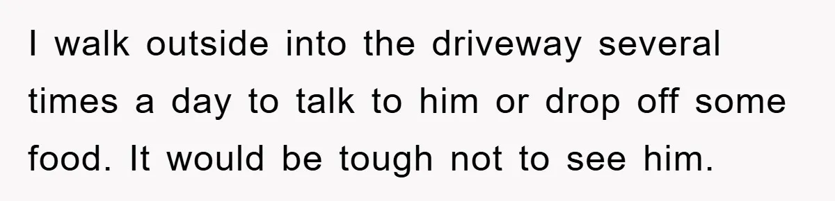 I walk outside into the driveway several times a day to talk to him or drop off some food. It would be tough not to see him.