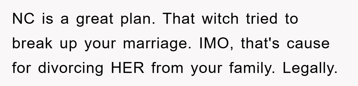 NC is a great plan. That witch tried to break up your marriage. IMO, that's cause for divorcing HER from your family. Legally.