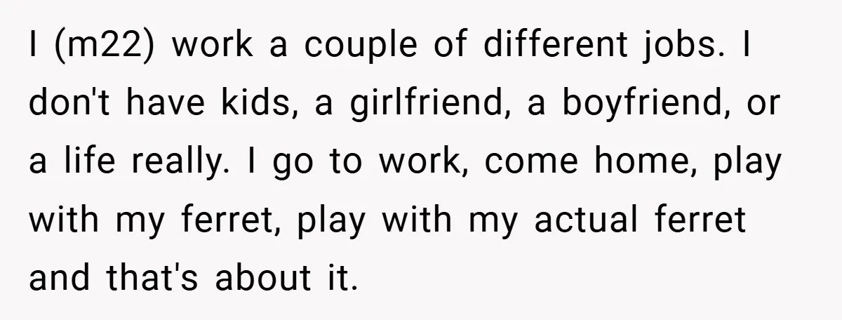 I (m22) work a couple of different jobs. I don't have kids, a girlfriend, a boyfriend, or a life really. I go to work, come home, play with my ferret,...