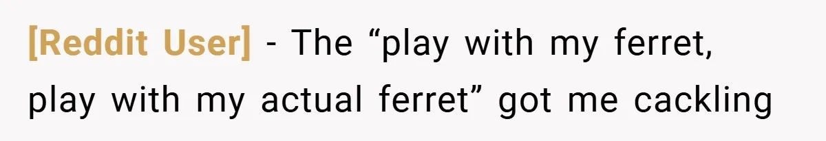 [Reddit User] − The “play with my ferret, play with my actual ferret” got me cackling