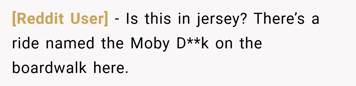 [Reddit User] − Is this in jersey? There’s a ride named the Moby D**k on the boardwalk here.
