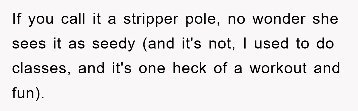 If you call it a stripper pole, no wonder she sees it as seedy (and it's not, I used to do classes, and it's one heck of a workout and...