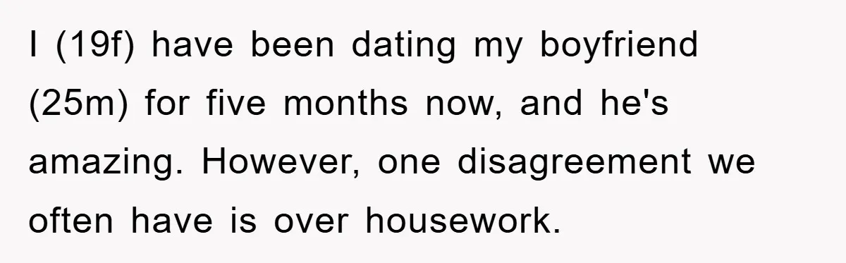 I (19f) have been dating my boyfriend (25m) for five months now, and he's amazing. However, one disagreement we often have is over housework.