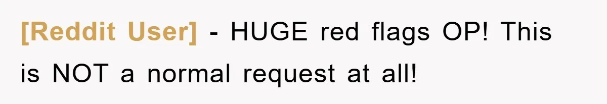 [Reddit User] − HUGE red flags OP! This is NOT a normal request at all!