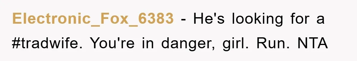 Electronic_Fox_6383 − He's looking for a #tradwife. You're in danger, girl. Run. NTA