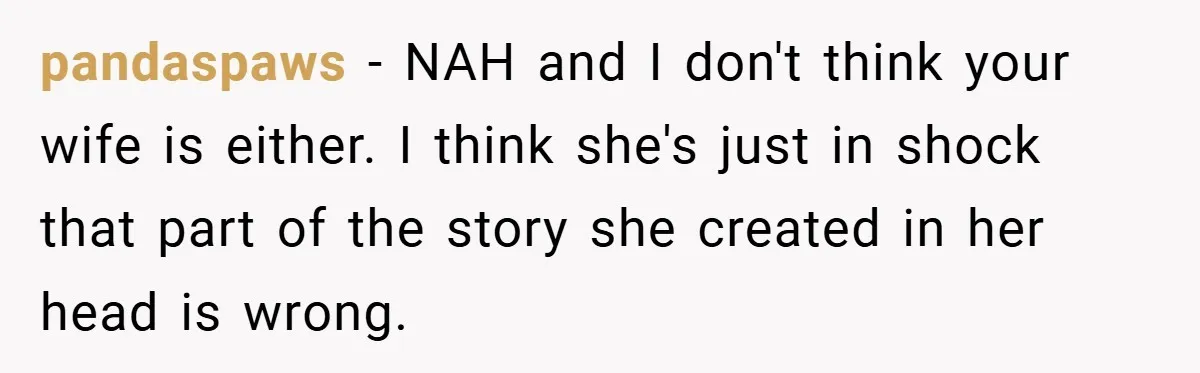 pandaspaws − NAH and I don't think your wife is either. I think she's just in shock that part of the story she created in her head is wrong.