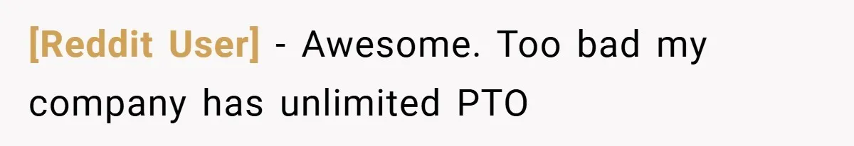 [Reddit User] − Awesome. Too bad my company has unlimited PTO
