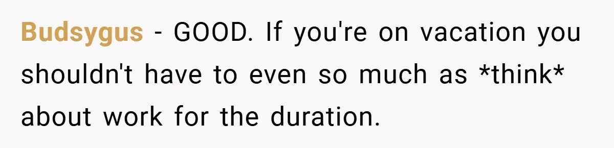 Budsygus − GOOD. If you're on vacation you shouldn't have to even so much as *think* about work for the duration.
