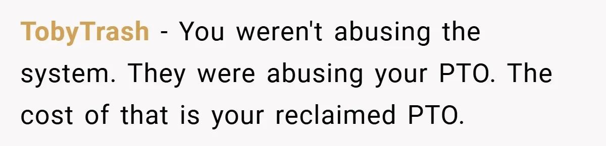 TobyTrash − You weren't abusing the system. They were abusing your PTO. The cost of that is your reclaimed PTO.