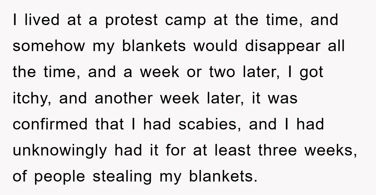 I lived at a protest camp at the time, and somehow my blankets would disappear all the time, and a week or two later, I got itchy, and another week...
