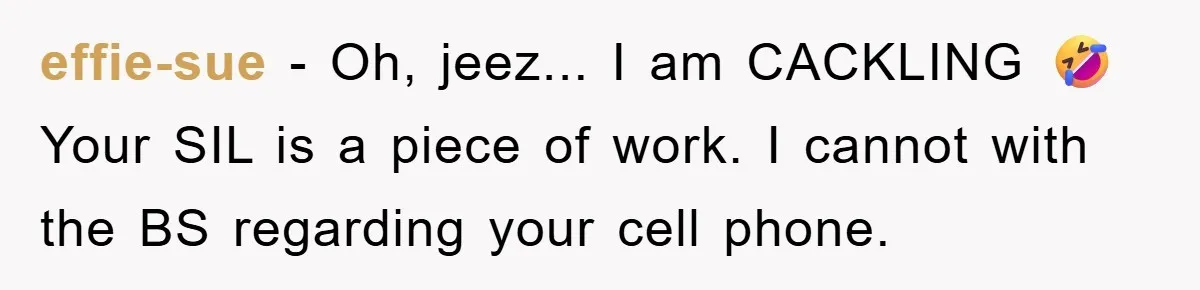 effie-sue − Oh, jeez... I am CACKLING 🤣 Your SIL is a piece of work. I cannot with the BS regarding your cell phone.