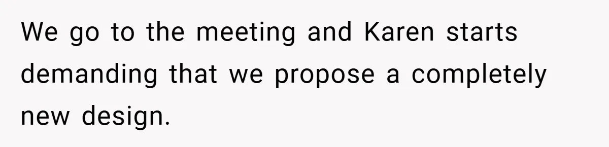 We go to the meeting and Karen starts demanding that we propose a completely new design.