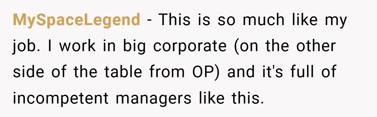MySpaceLegend − This is so much like my job. I work in big corporate (on the other side of the table from OP) and it's full of incompetent managers like...
