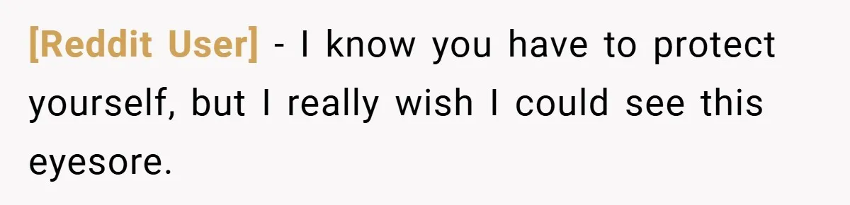 [Reddit User] − I know you have to protect yourself, but I really wish I could see this eyesore.