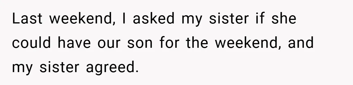 Last weekend, I asked my sister if she could have our son for the weekend, and my sister agreed.