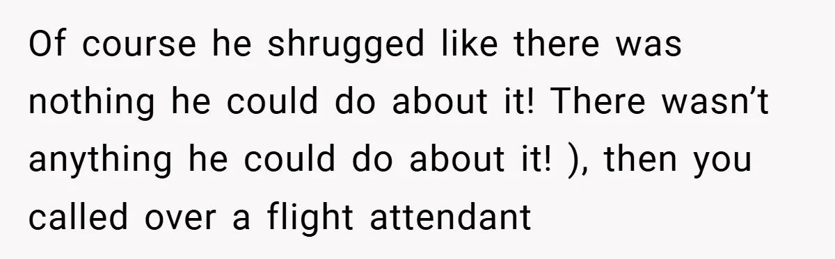 Of course he shrugged like there was nothing he could do about it! There wasn’t anything he could do about it! ), then you called over a flight attendant