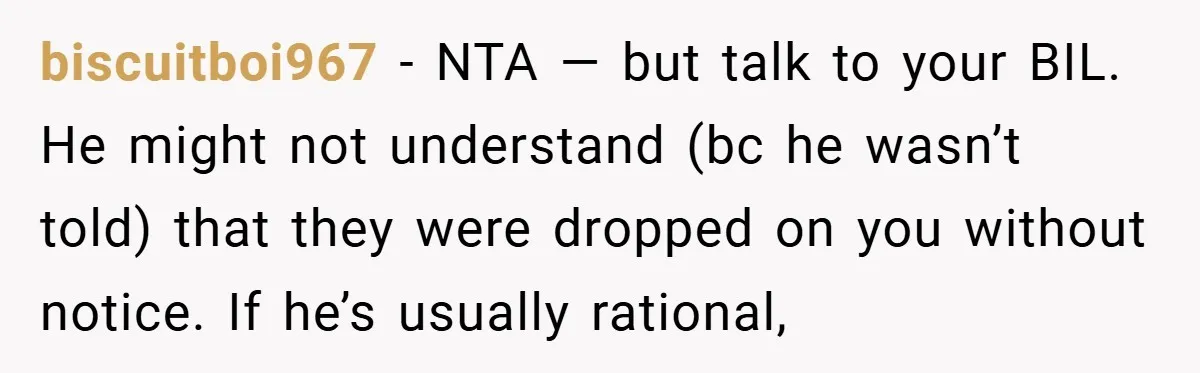 Medical Student Drops Sister’s Kids at Child-Free Wedding After Being Dumped on Last Minute biscuitboi967 − NTA — but talk to your BIL. He might not understand (bc he wasn’t told) that they were dropped on you without notice. If he’s usually rational,