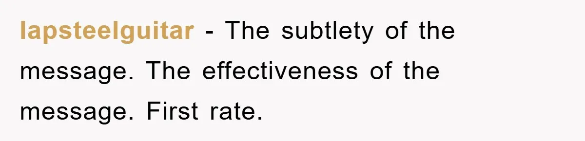 lapsteelguitar − The subtlety of the message. The effectiveness of the message. First rate.