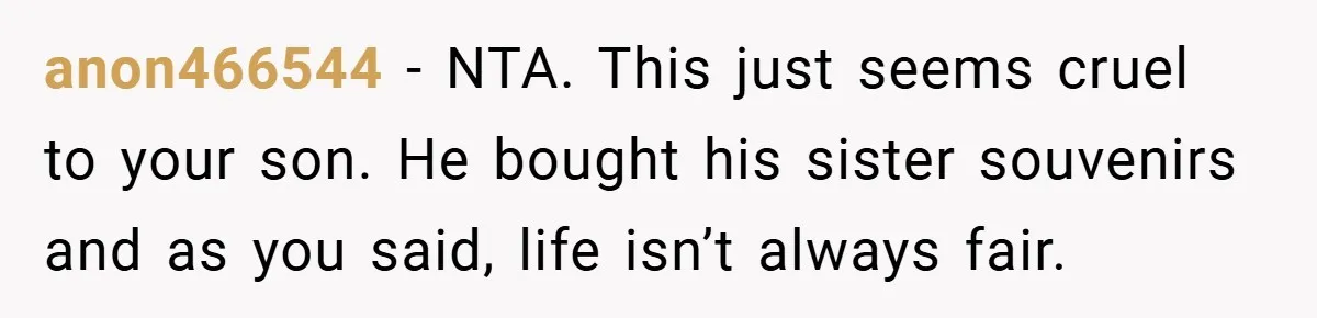 anon466544 − NTA. This just seems cruel to your son. He bought his sister souvenirs and as you said, life isn’t always fair.