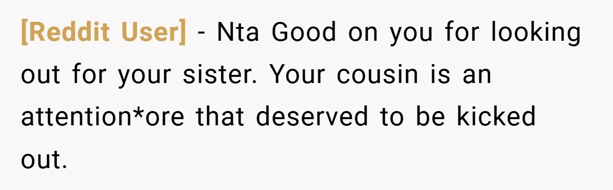 [Reddit User] − Nta Good on you for looking out for your sister. Your cousin is an attention*ore that deserved to be kicked out.