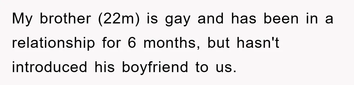 My brother (22m) is gay and has been in a relationship for 6 months, but hasn't introduced his boyfriend to us.
