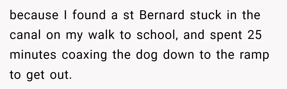 because I found a st Bernard stuck in the canal on my walk to school, and spent 25 minutes coaxing the dog down to the ramp to get out.