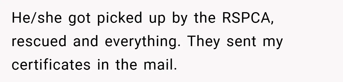 He/she got picked up by the RSPCA, rescued and everything. They sent my certificates in the mail.