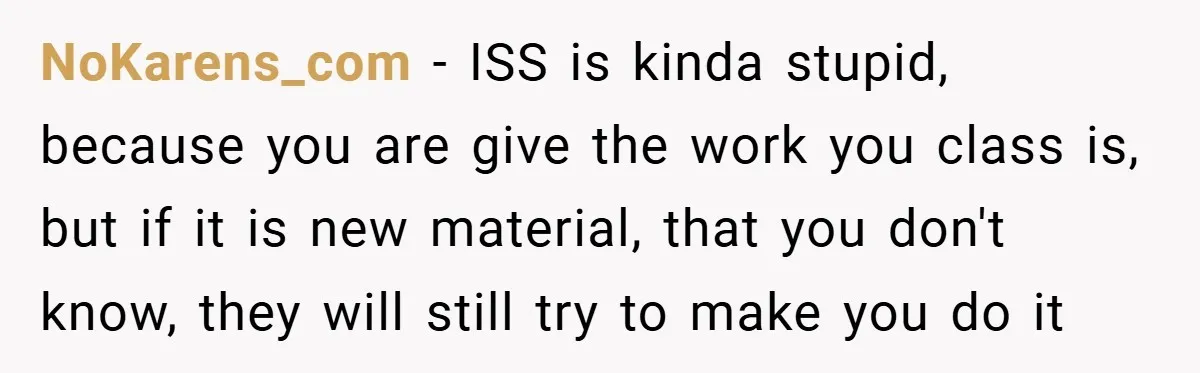 NoKarens_com − ISS is kinda stupid, because you are give the work you class is, but if it is new material, that you don't know, they will still try to...