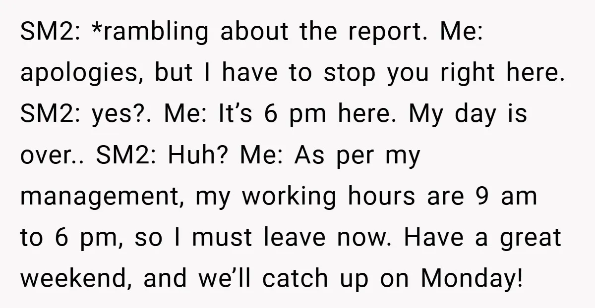 SM2: *rambling about the report. Me: apologies, but I have to stop you right here. SM2: yes?. Me: It’s 6 pm here. My day is over.. SM2: Huh? Me: As...