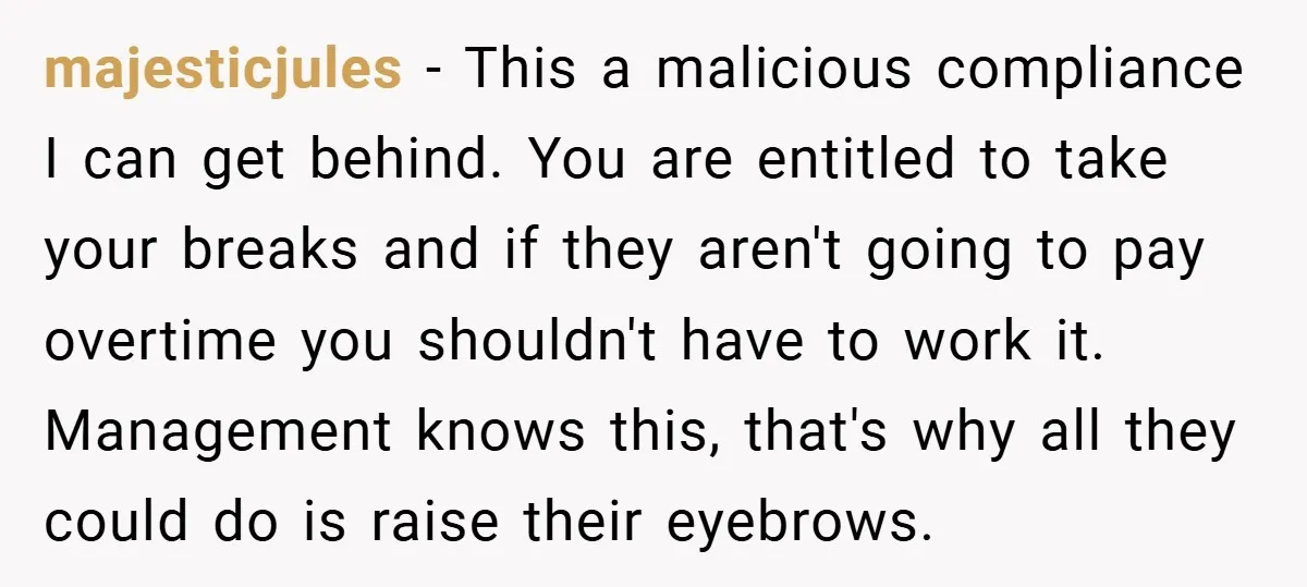 majesticjules − This a malicious compliance I can get behind. You are entitled to take your breaks and if they aren't going to pay overtime you shouldn't have to work...