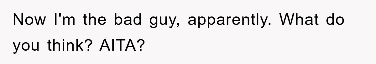 Now I'm the bad guy, apparently. What do you think? AITA?