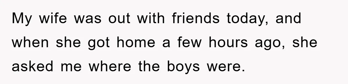 My wife was out with friends today, and when she got home a few hours ago, she asked me where the boys were.